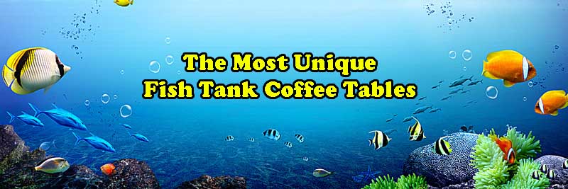 Best Aquarium Coffee Table Designs