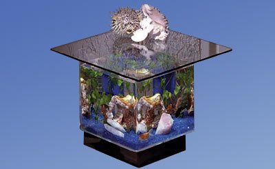 Fish Tank Table