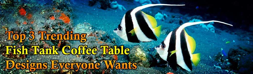 3 Unique Fish Tank Coffee Tables